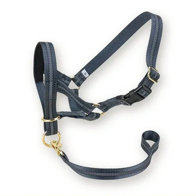 Reflective Padded Dog Head Collar with Safety Strap