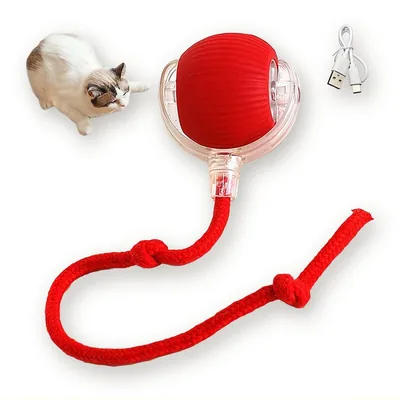 Interactive Self-Rolling Cat Ball with USB Charging, 5.5 cm
